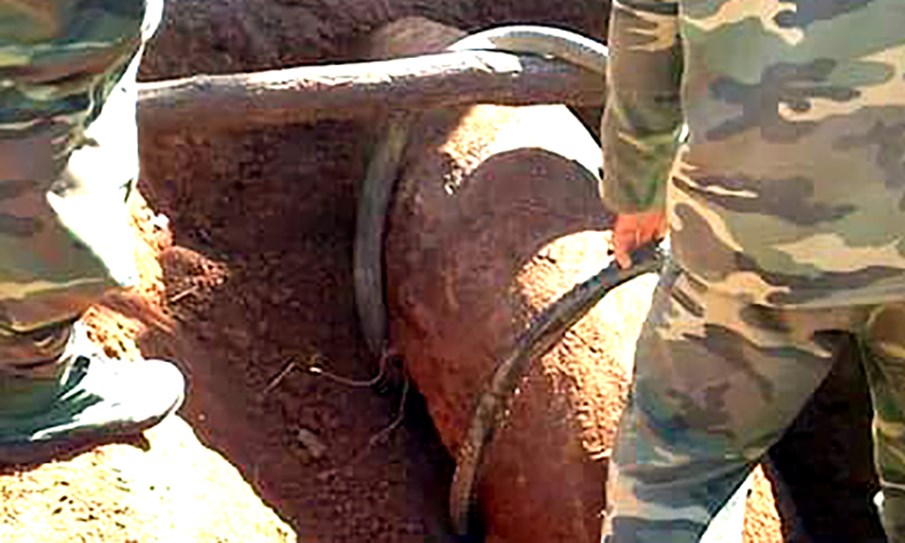 250kg wartime bomb unearthed in southern Vietnam
