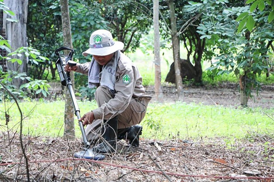 Domestic and international efforts boost landmine cleanup